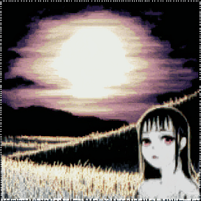 among fields and phantoms