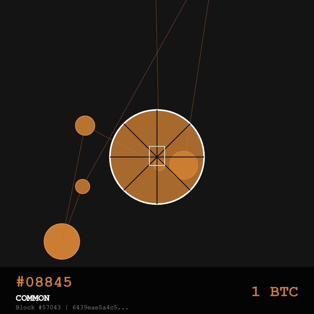 Bitcoin Pizza Genesis: 10K — COMMON Edition | May 22, 2010 - The Day  Everything Changed