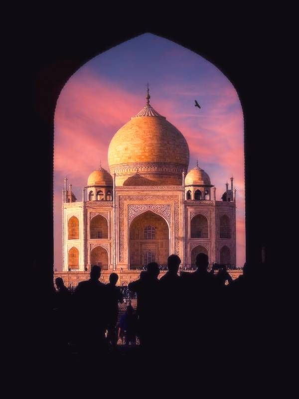 アナログプロダクション Taj Mahal Labor of Love 2LP Taj Mahal – Labor of Love – Vinyl (200 Gram, Gatefold, LP, Album