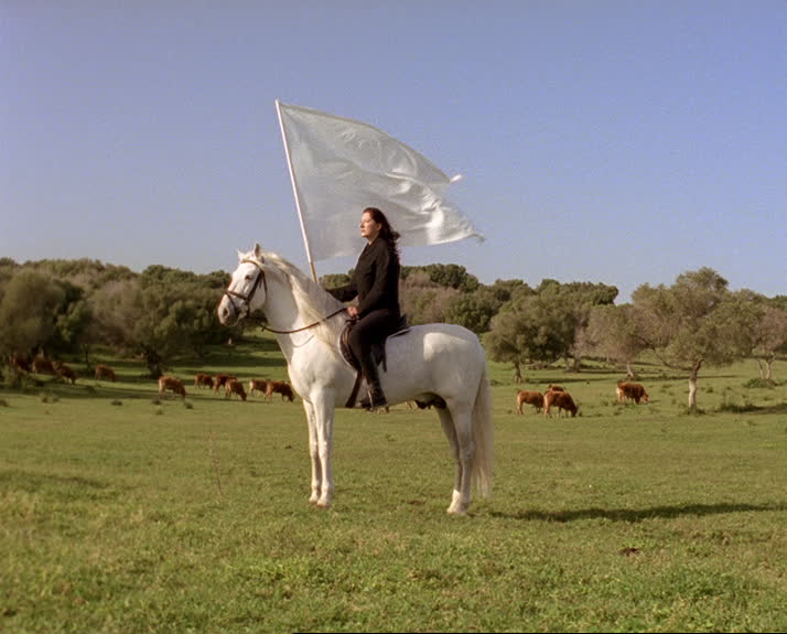 Marina Abramović - The Hero 25FPS [ 1880 ]