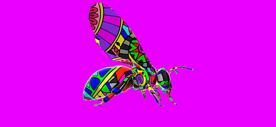 Rainbow Wasps | objkt.com