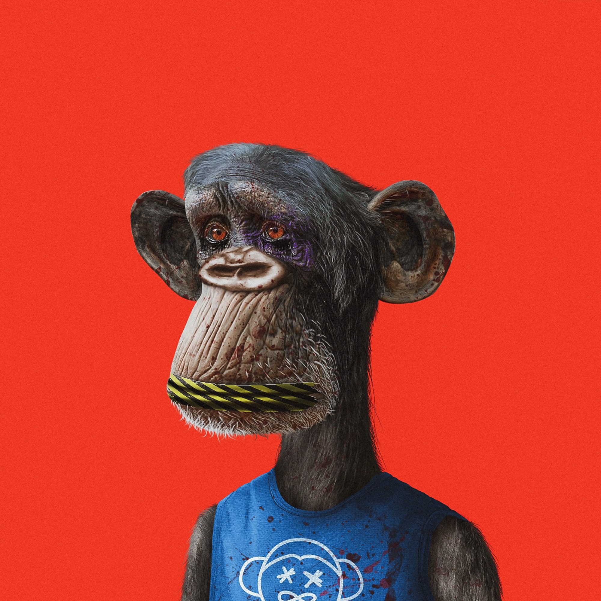 Обезьянка nft. Обои с обезьянами. Violetmonkey. Violetmonkey. 12.